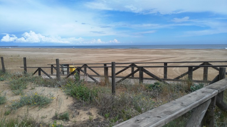 Playa Isla Canela 33